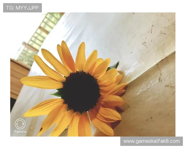 凯发手机版常见问题解答，解决你的疑问让你玩得更加顺畅和愉快