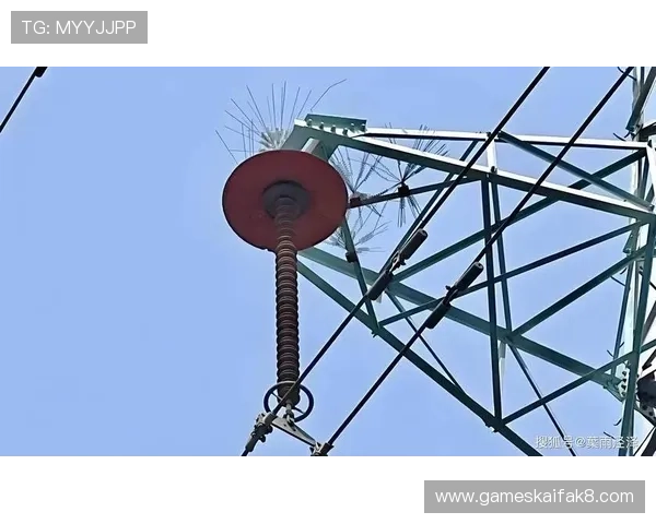 凯发旗舰厅登录线路全天候维护，确保每次登录都能顺畅无阻